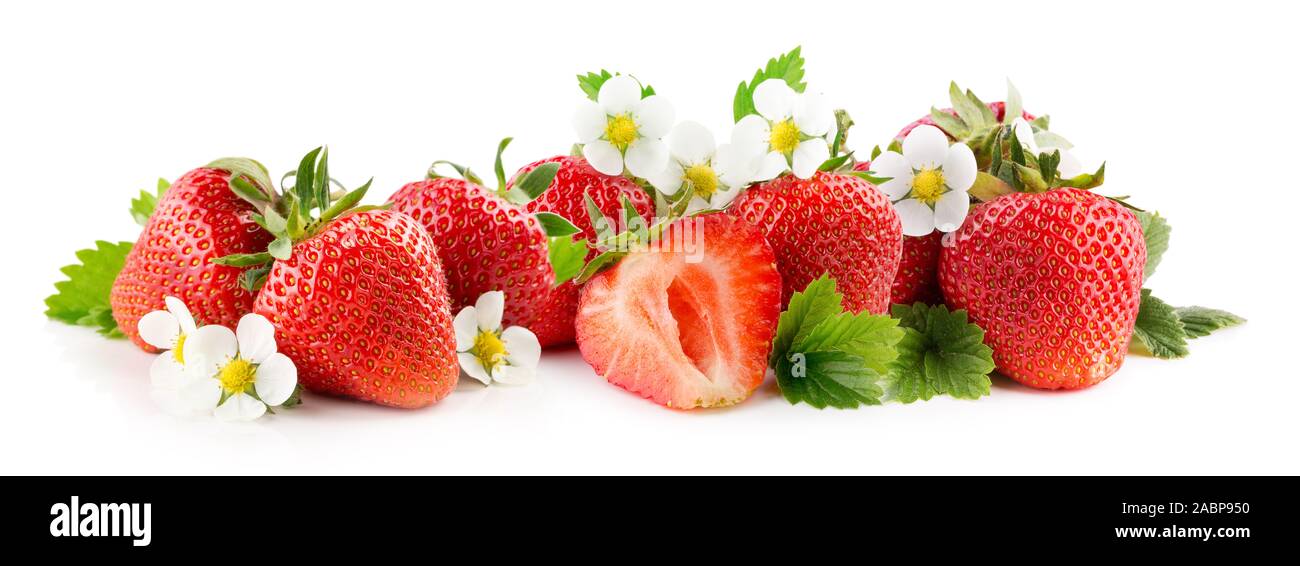 strawberries with leaves and flowers isolated on a white background ...