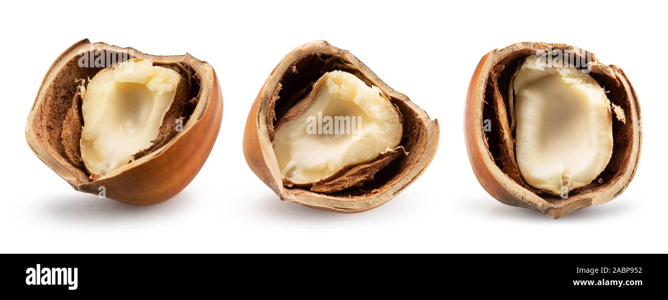 collection of broken hazelnuts isolated on a white background. Stock Photo