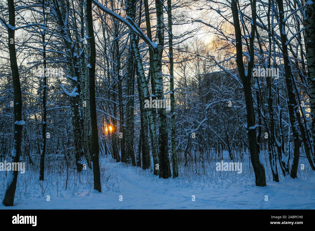 Sunny magical hi-res stock photography and images - Alamy