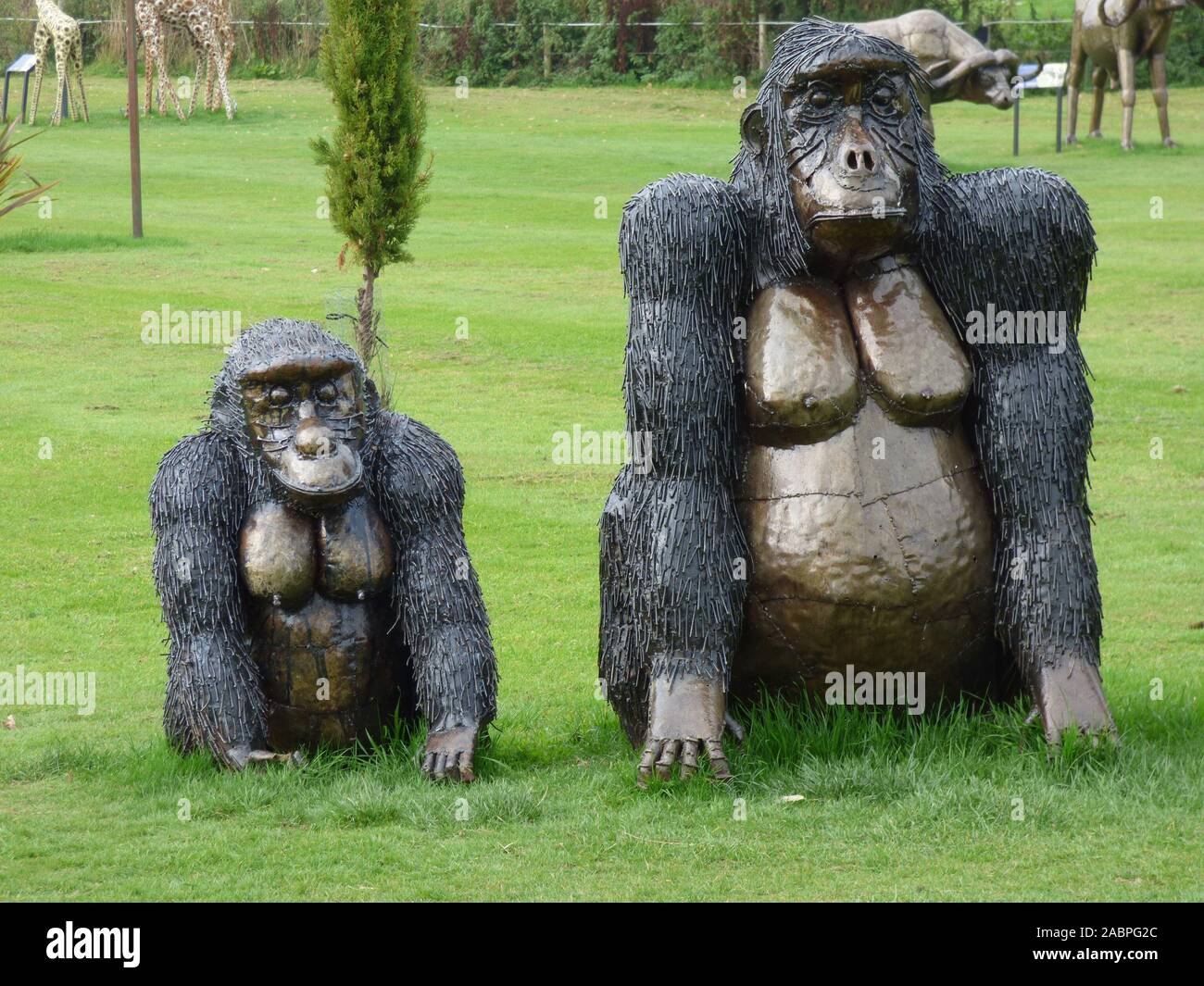 Gorilla sculptures at the British Ironwork Centre and Shropshire ...