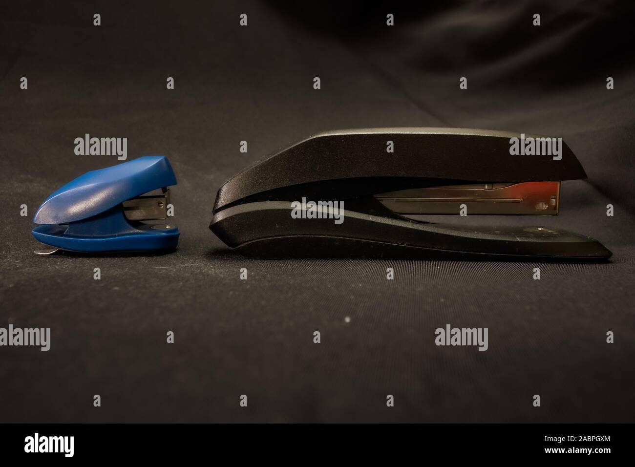 Staplers symbolizing leadership Office power and mentoring Stock Photo ...