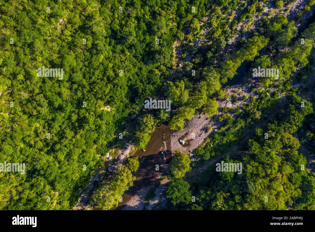 Aerial view of Cuchujaqui River in the Monte Mojino Reserve with an ecosystem of low deciduous forest, within the Sierra de Álamos flora and fauna protection area Cuchujaqui River is one of the 39 flora and fauna protection areas in Mexico. © (© Photo: LuisGutierrez / NortePhoto.com)    vista aerea de Río Cuchujaqui en la Reserva Monte Mojino con ecosistema de selva baja caducifolia, dentro del área de protección de flora y fauna Sierra de Álamos Río Cuchujaqui es una de las 39 áreas de protección de flora y fauna de México. ©  (© Foto: LuisGutierrez / NortePhoto.com) Stock Photo