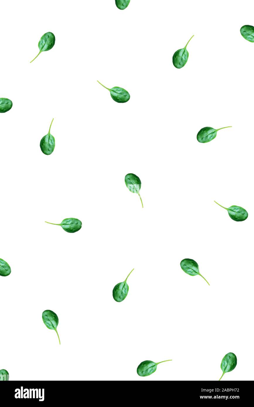 The pattern of spinach leaves on a white background Stock Photo - Alamy