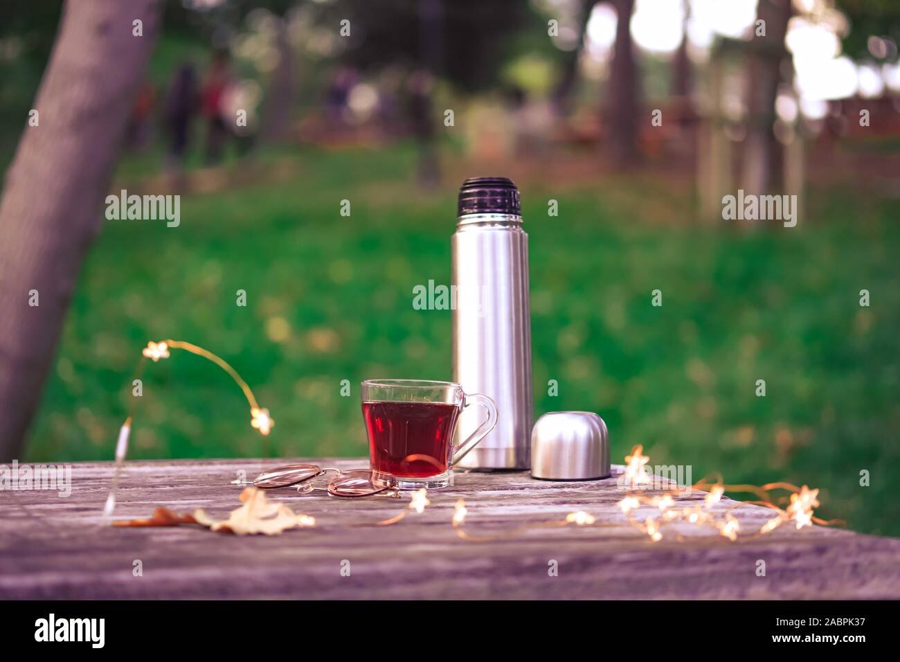 1,208 Hot Tea Thermos Stock Photos, High-Res Pictures, and Images