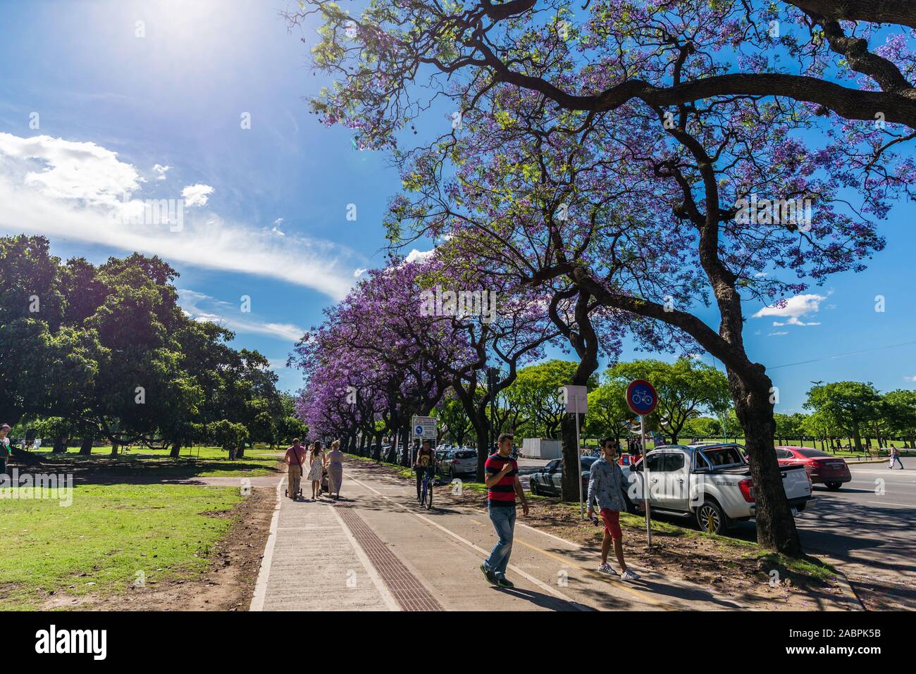 Buenos Aires, Argentina - November 18, 2018: Recoleta and Jacaranda trees Stock Photo