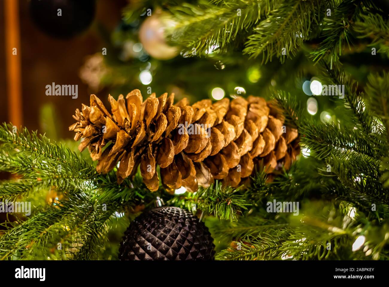 Big cone hi-res stock photography and images - Alamy