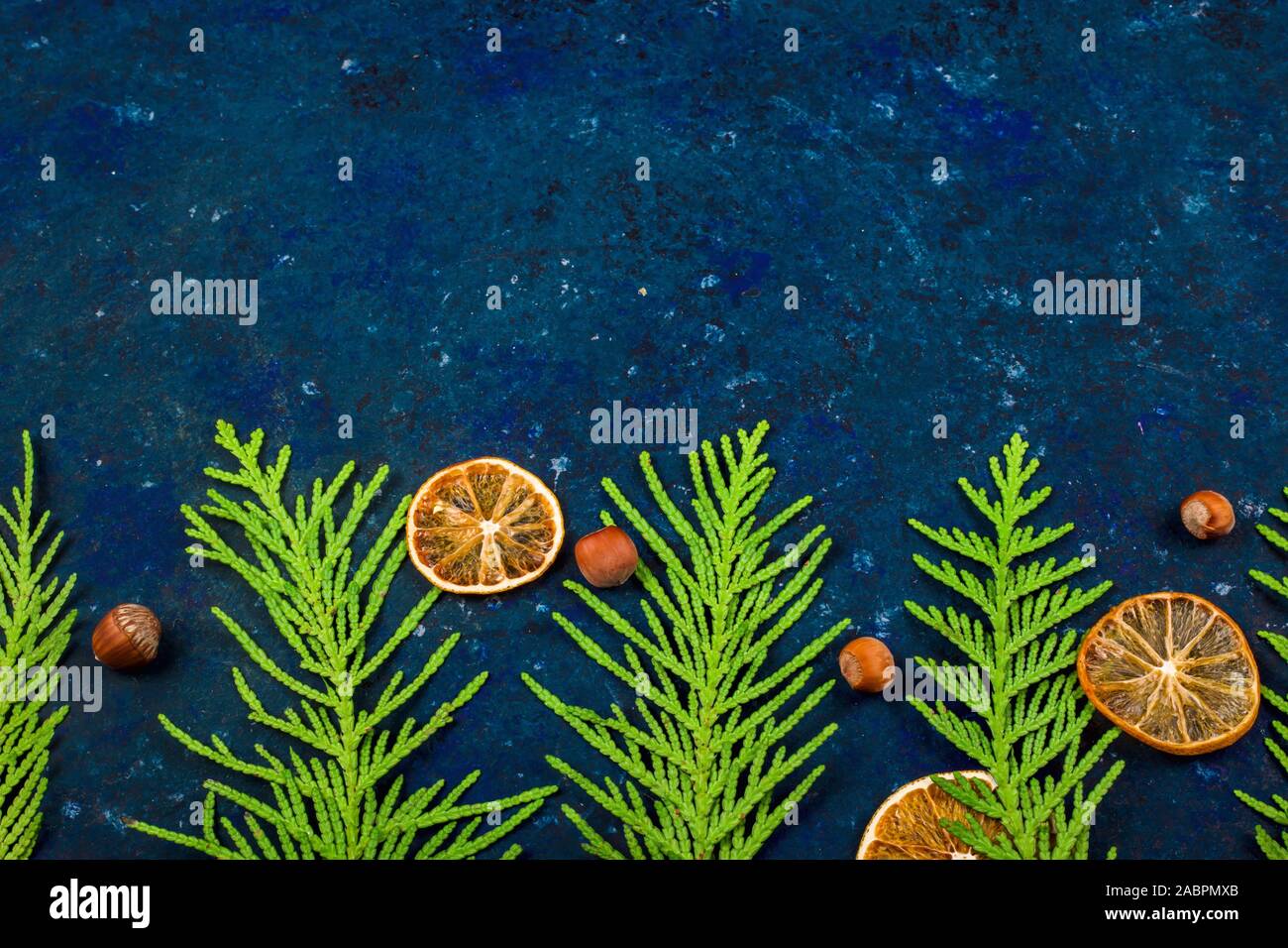 Green coniferous tree branches with slices of dried oranges and hazelnuts on a blue background with copy space. Top view, flat lay. Stock Photo