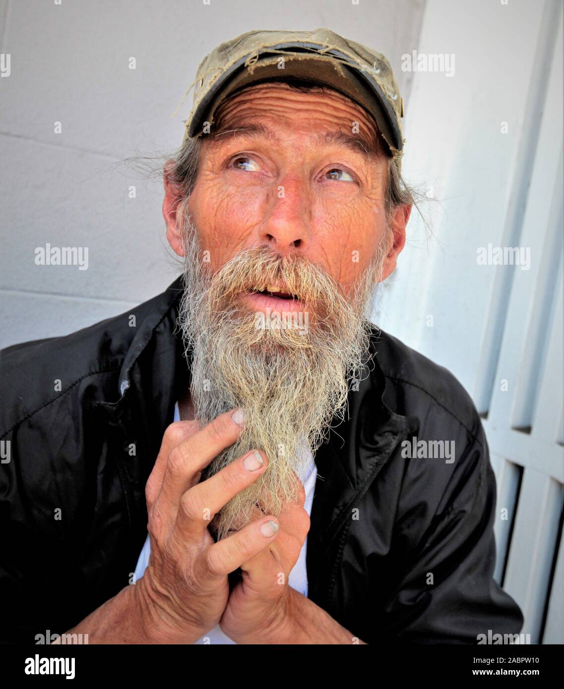 60+ year old man showing off his beard to the public as he lives on the streets of Los Angeles and is not considered homeless and is retired to a room Stock Photo