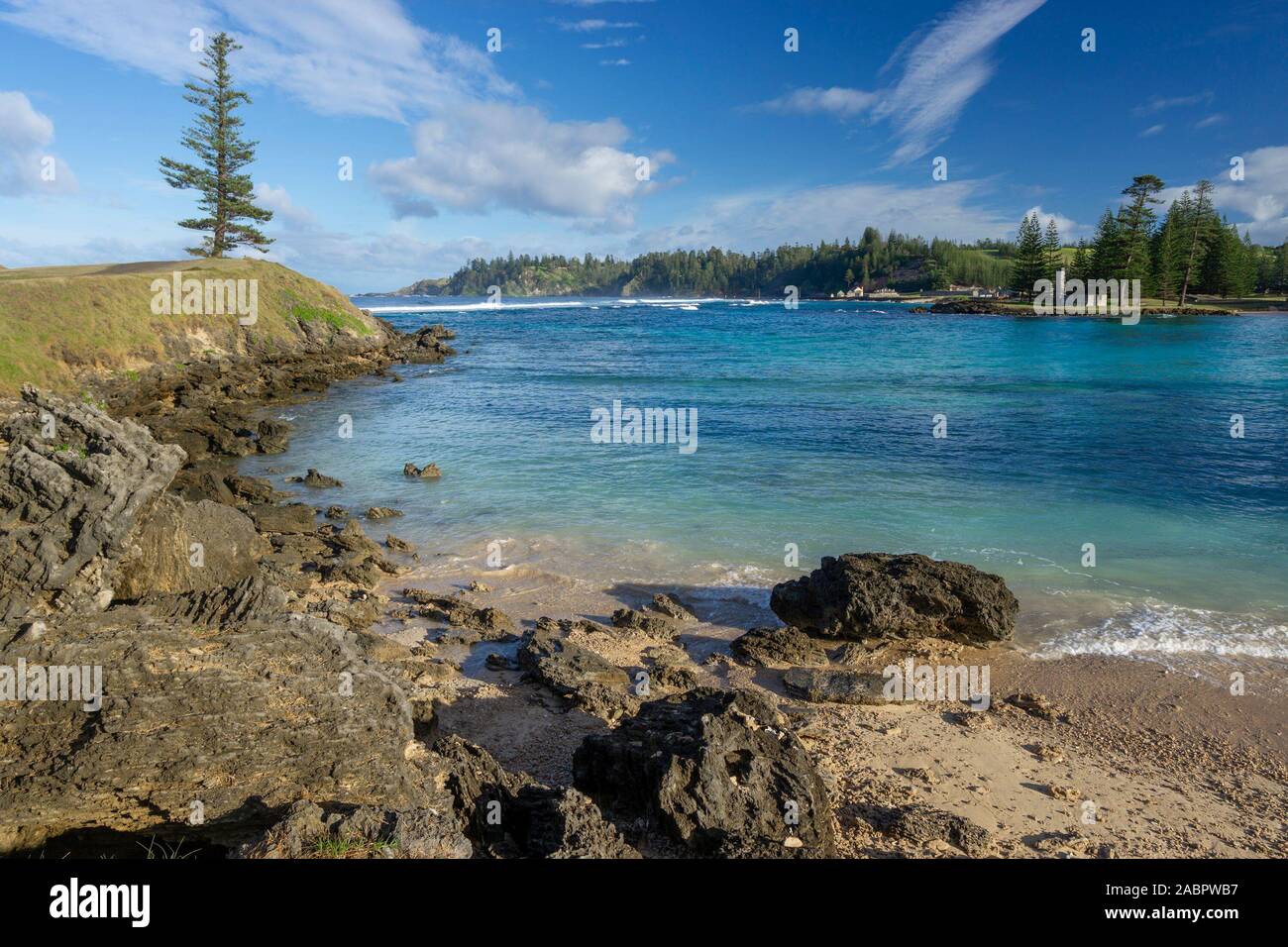 Emily Bay and an isolated Norfolk Island pine on Point Hunter at a southern tip of the island. Protected by a reef just off the Lone Pine Headland the Stock Photo