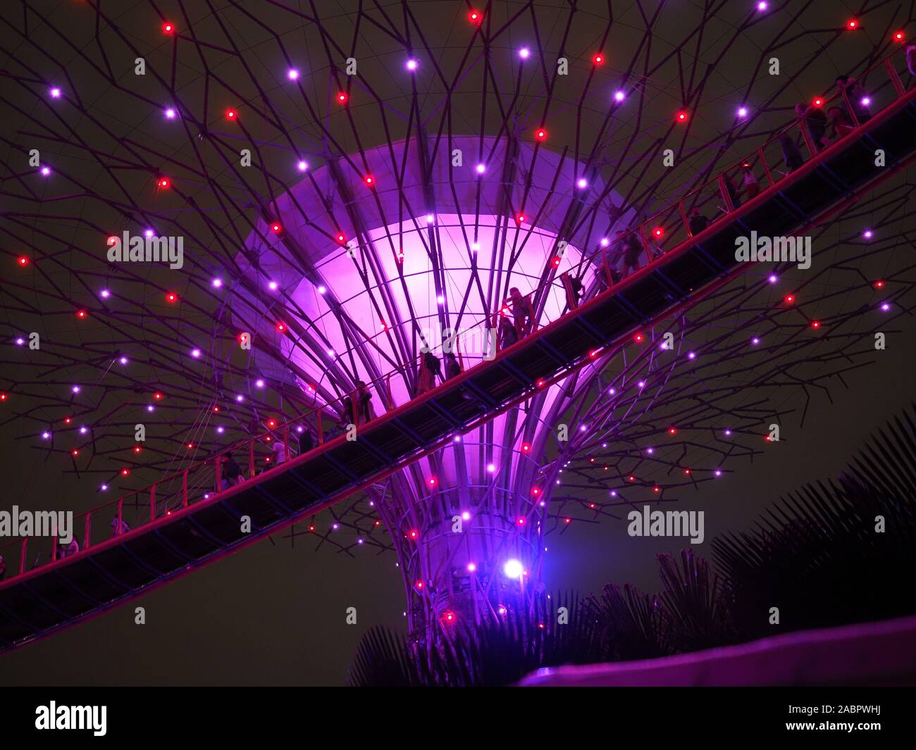 View Looking up at a walkway through the Supertrees during the nightly Lights Show in the Gardens By The Bay in Singapore Stock Photo