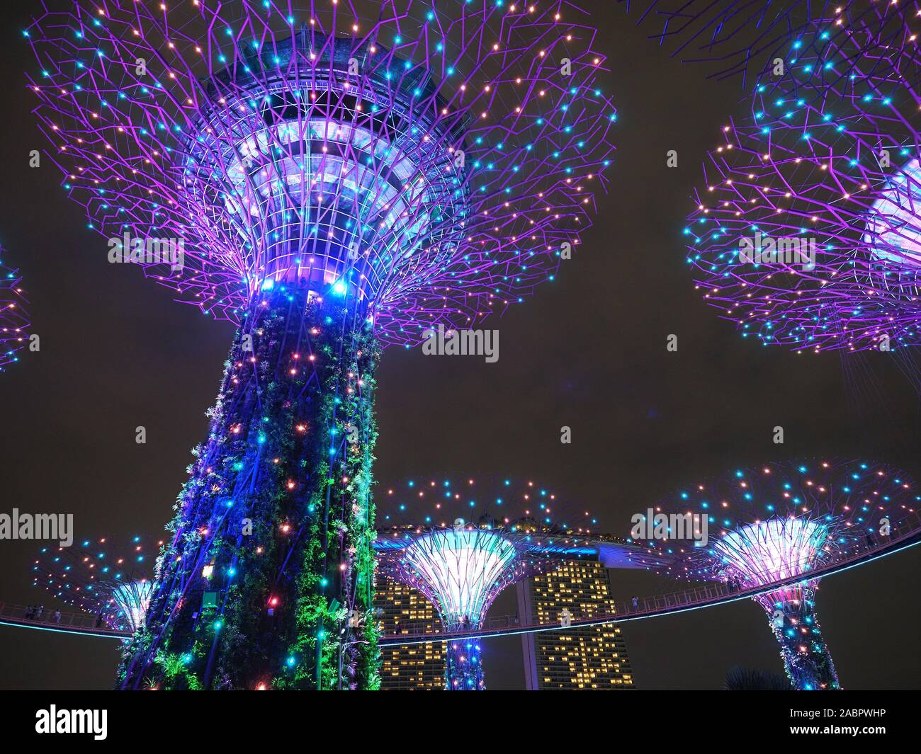 View Looking up at the colourful Supertrees during the nightly Lights Show in the Gardens By The Bay in Singapore Stock Photo