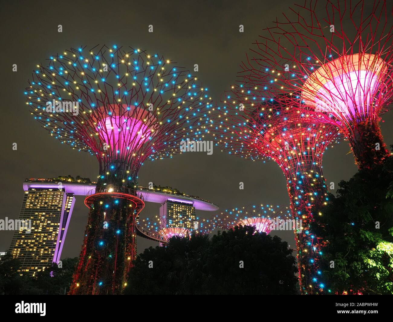 View Looking up at the colourful Supertrees during the nightly Lights Show in the Gardens By The Bay in Singapore Stock Photo