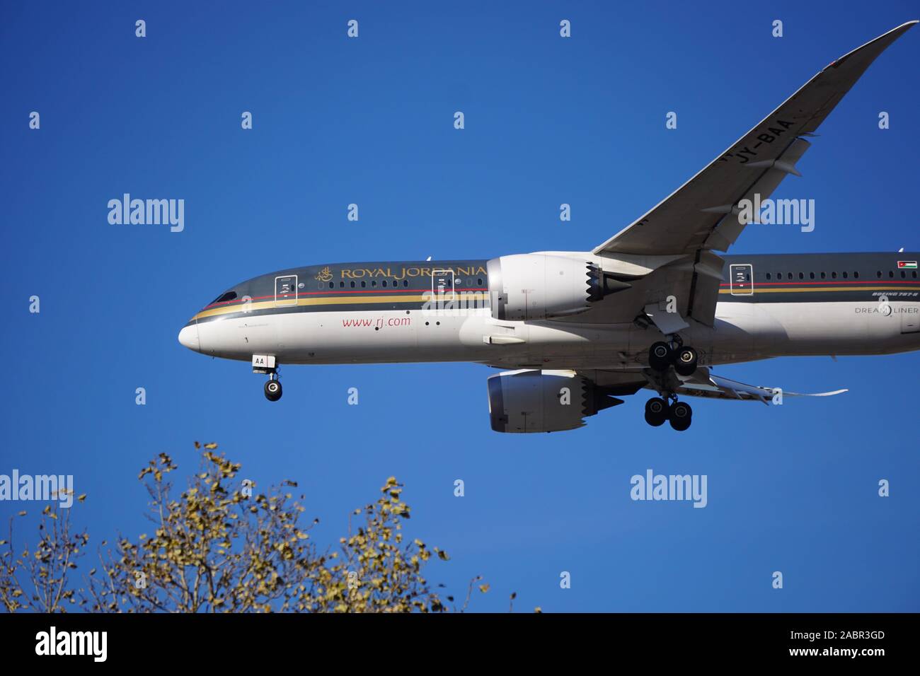 Amman Jordan Royal Jordanian Airlines Plane Flight Deck Pilot Stock Photo -  Alamy