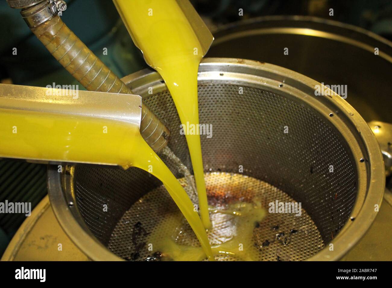 Olive oil extraction machine hires stock photography and images Alamy