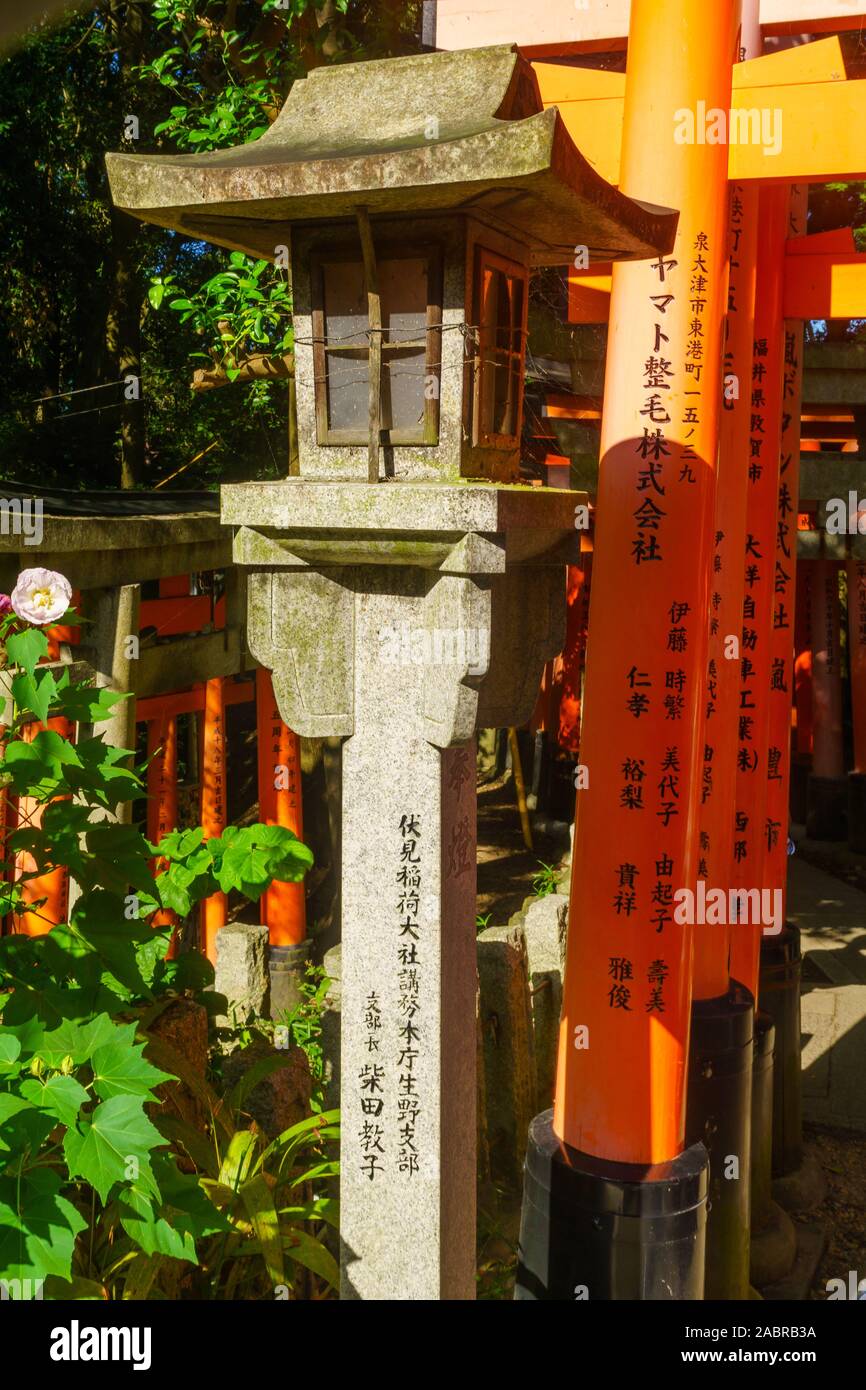 Torii Gates In Forest Fushimi High Resolution Stock Photography And Images Alamy