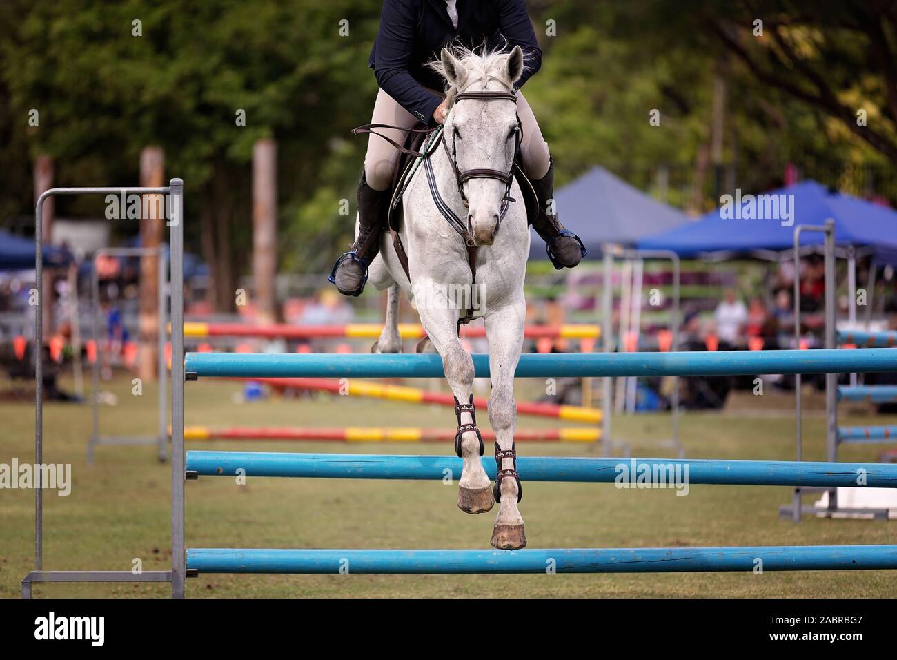 A horse and rider competing in a show jumping event at a country show ...