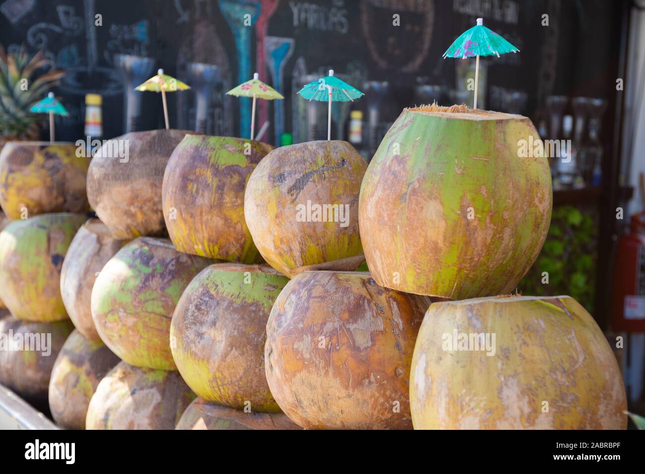 Coconuts For Sale By The Mariner In The City Centre Stock Photo