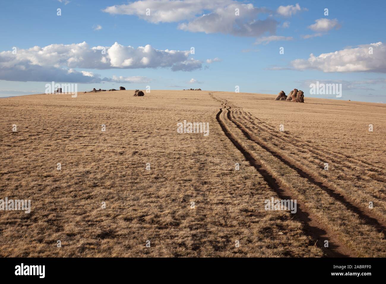 The landscape of the mongolian steppe Stock Photo - Alamy