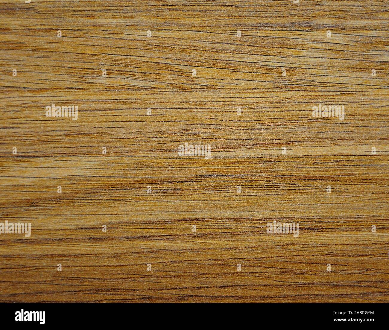 Dark beech, natural wood texture with light stripes, closeup pattern on a saw cut. Background