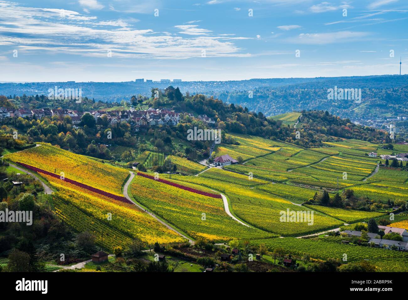 Germany, Colorful vineyards surrounding stuttgart rotenberg village on