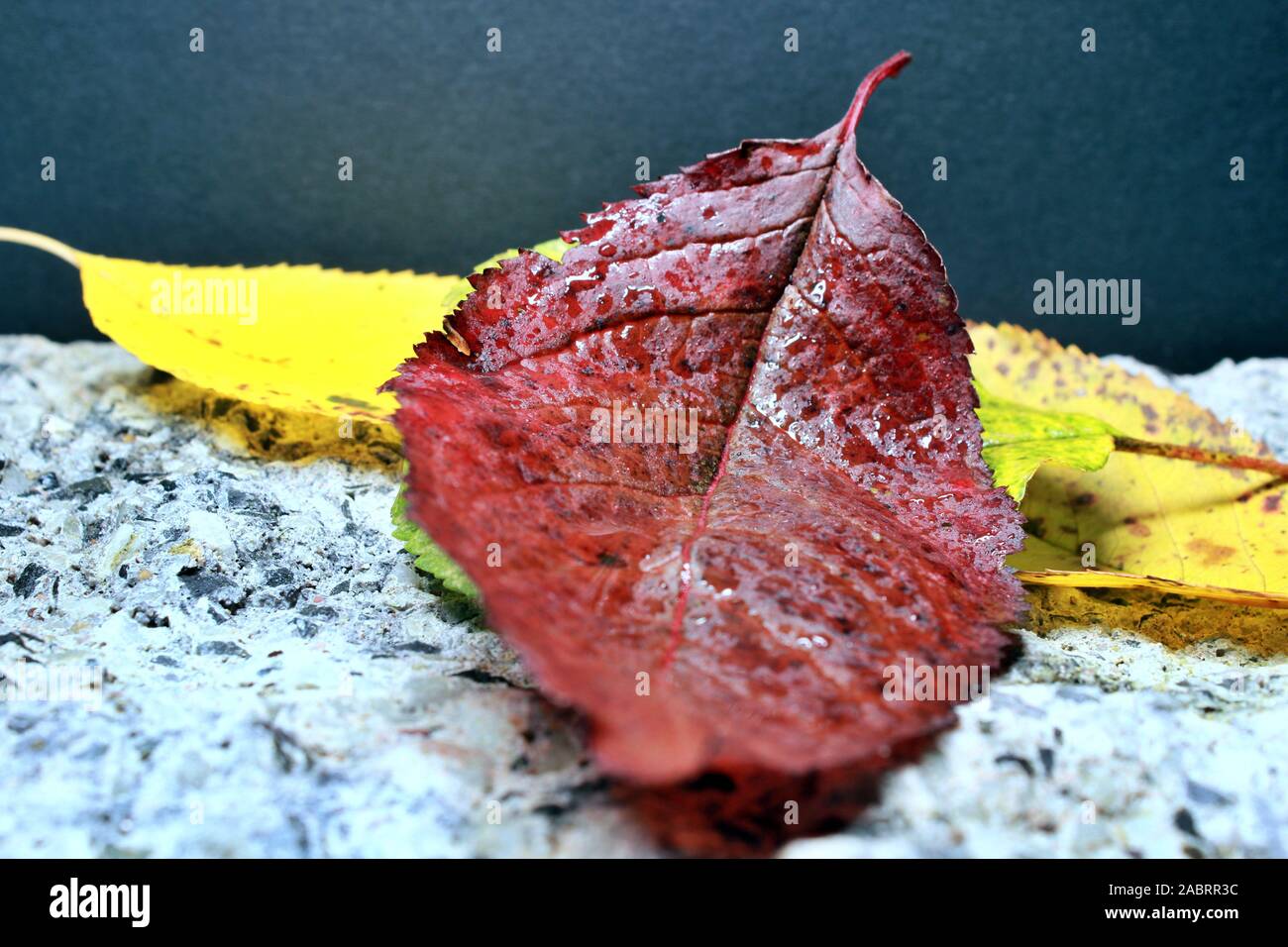 Concrete stone hi-res stock photography and images - Alamy