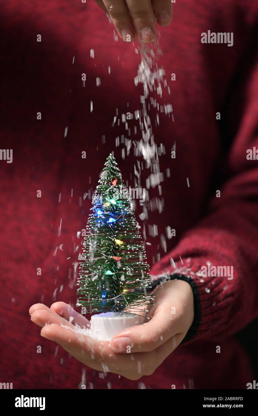 Young Girl With Christmas Tree In Hands Stock Photo