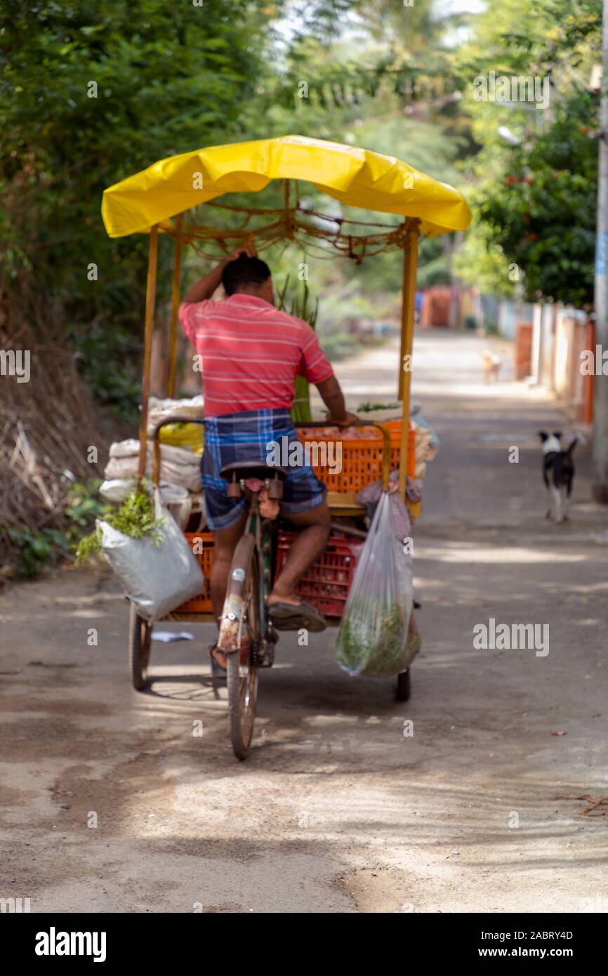 Back view of Mobile vendors selling fruit and vegetable's Stock Photo