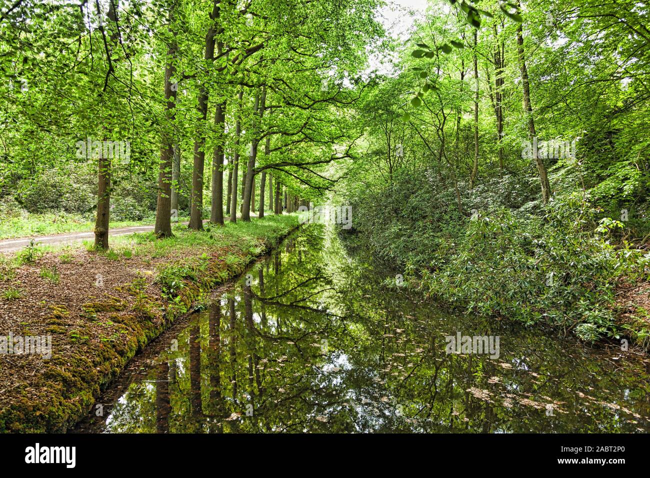 A beautiful green scenery in De Horsten Estate in Wassenaar, The Netherlands Stock Photo