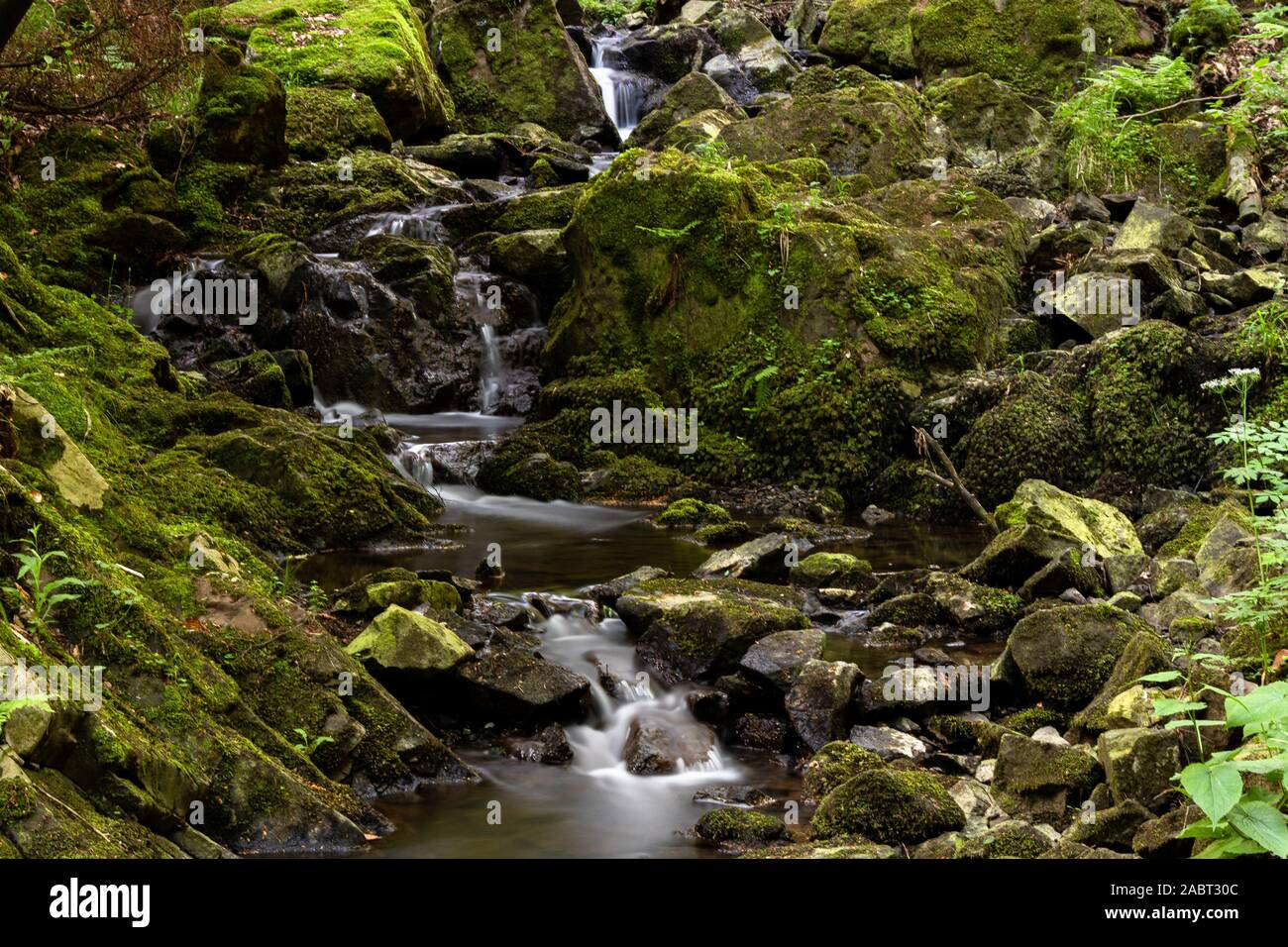 Kleiner Bachlauf im Harz, Langzeitbelichtung Stock Photo