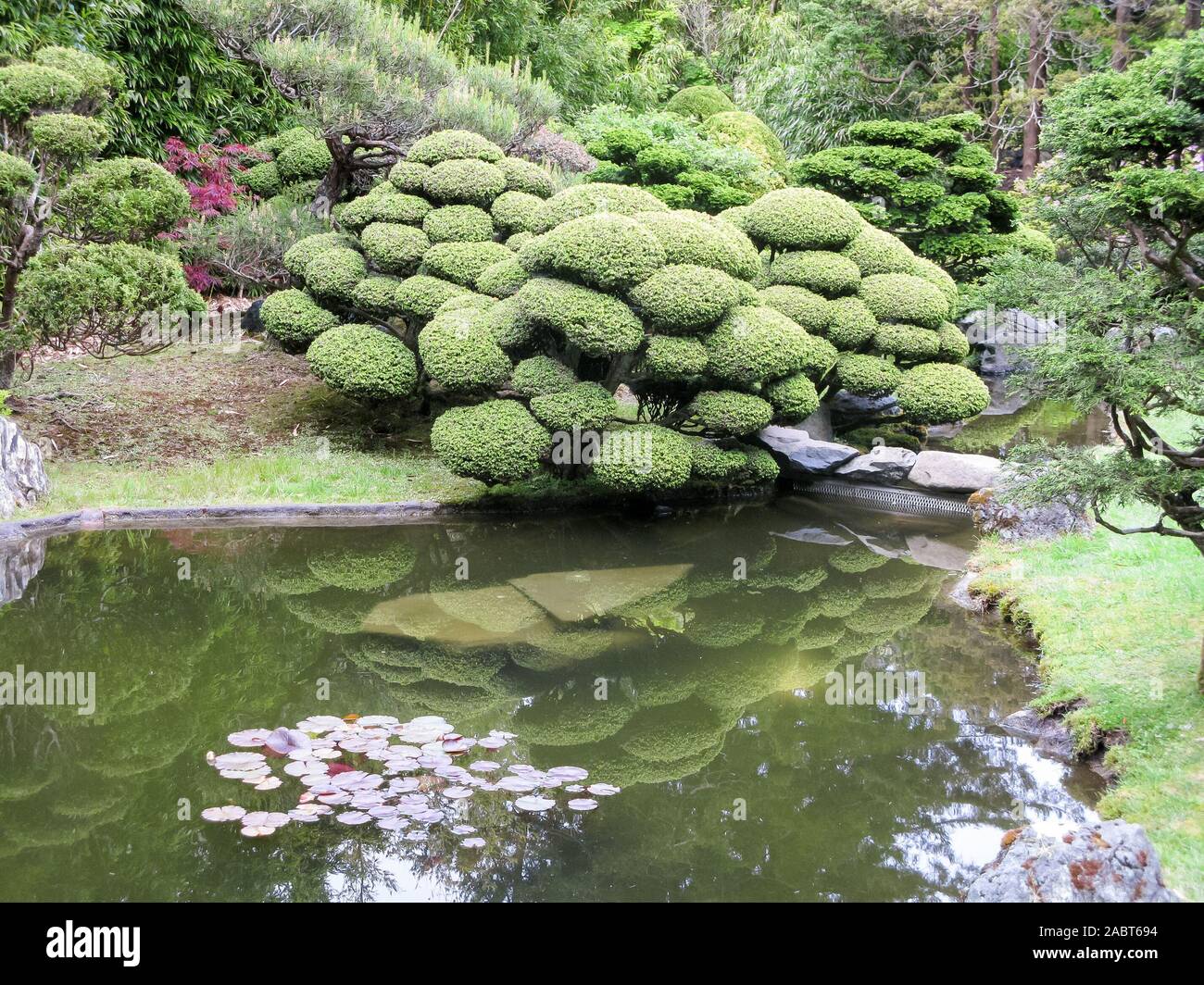 japanese tea garden san francisco