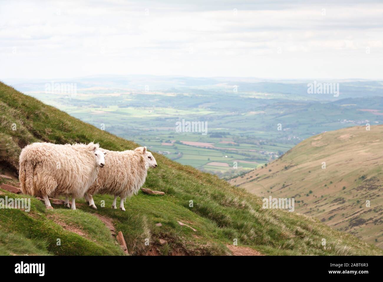 Welsh hill farmer beacons national hi-res stock photography and images ...