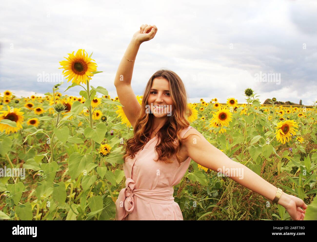 Beautiful woman in a sunflower field Stock Photo - Alamy