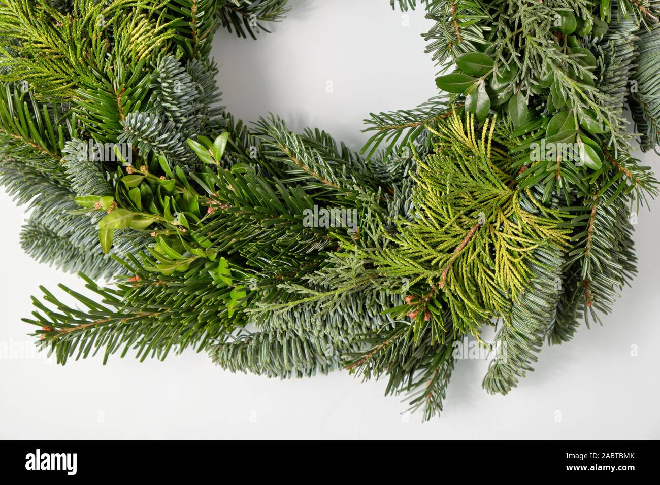 Closeup of a bare fresh and green Advent wreath without christmas decoration lying isolated on a white glass plate Stock Photo
