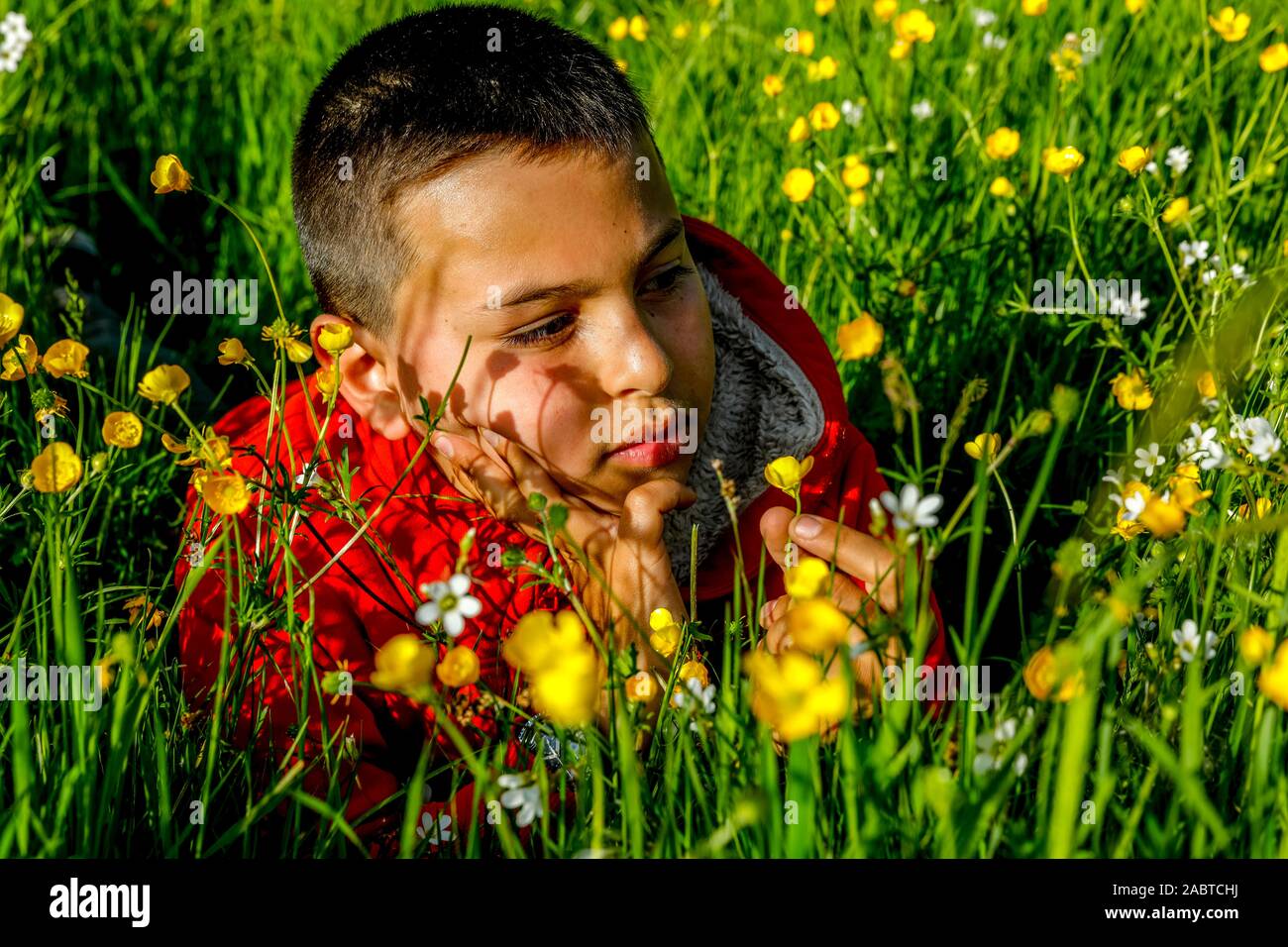 A boy in a flower field hi-res stock photography and images - Alamy