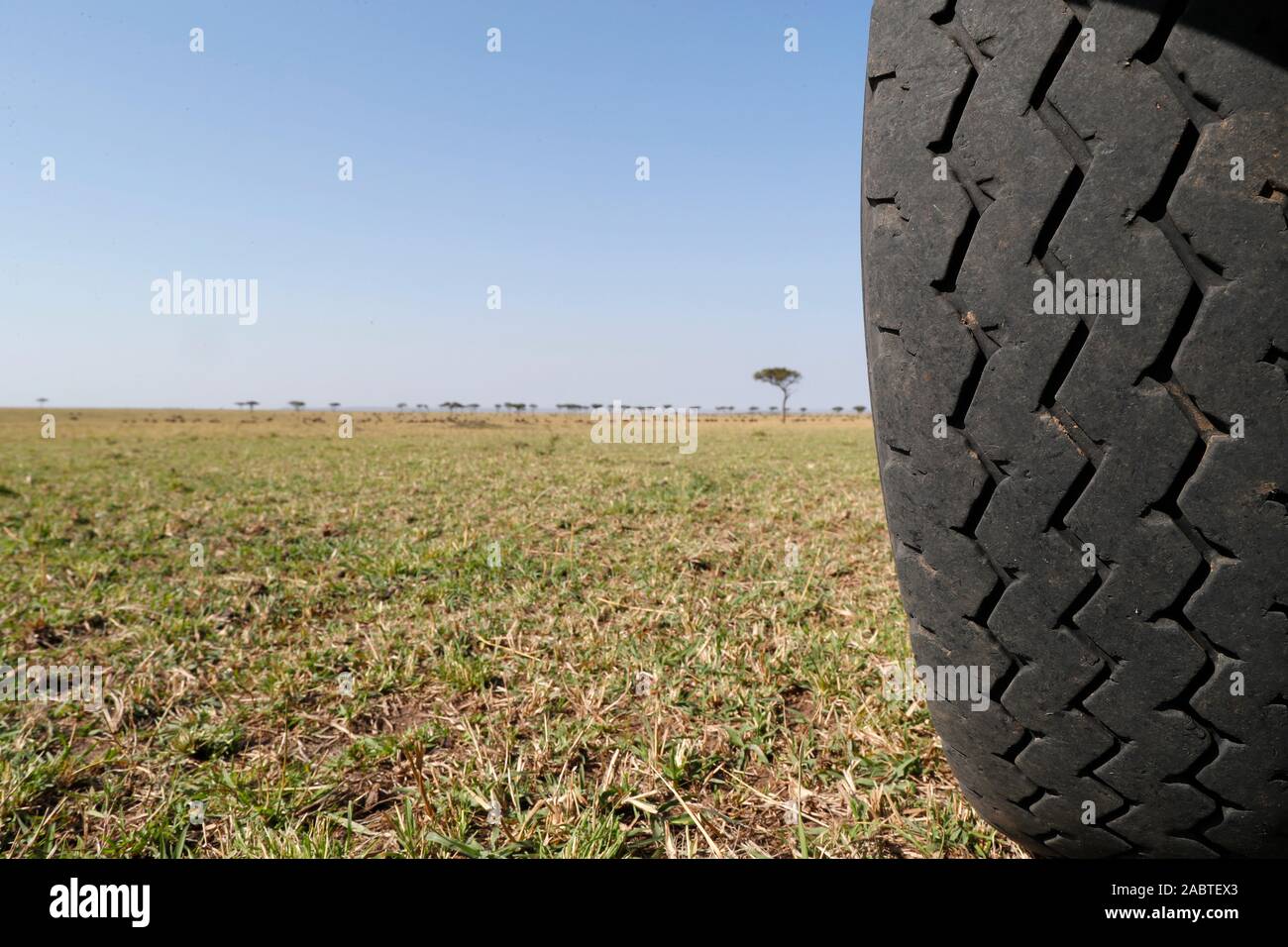 Toyota Land Cruiser, safari vehicle. Off road tire. Closeup. Masai