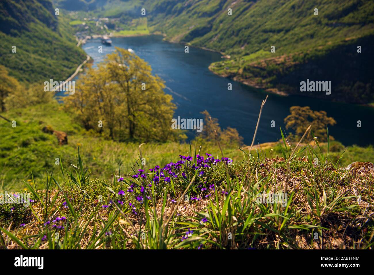 Fjords Spring nature sceneries inside Geiranger fjord during a spring day Stock Photo ...