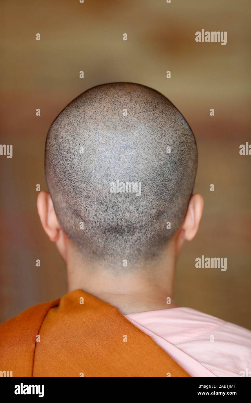 Buddhist nun in a Pagoda.  The tonsure is a sign of religious devotion or humility. Hoi An. Vietnam. Stock Photo