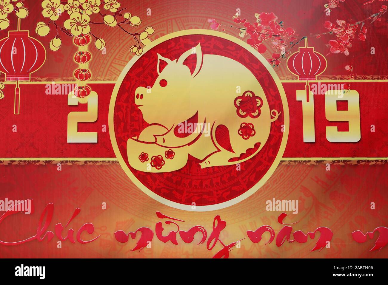 Chinese New Year decoration. Year of the pig. Ho Chi Minh City. Vietnam. Stock Photo