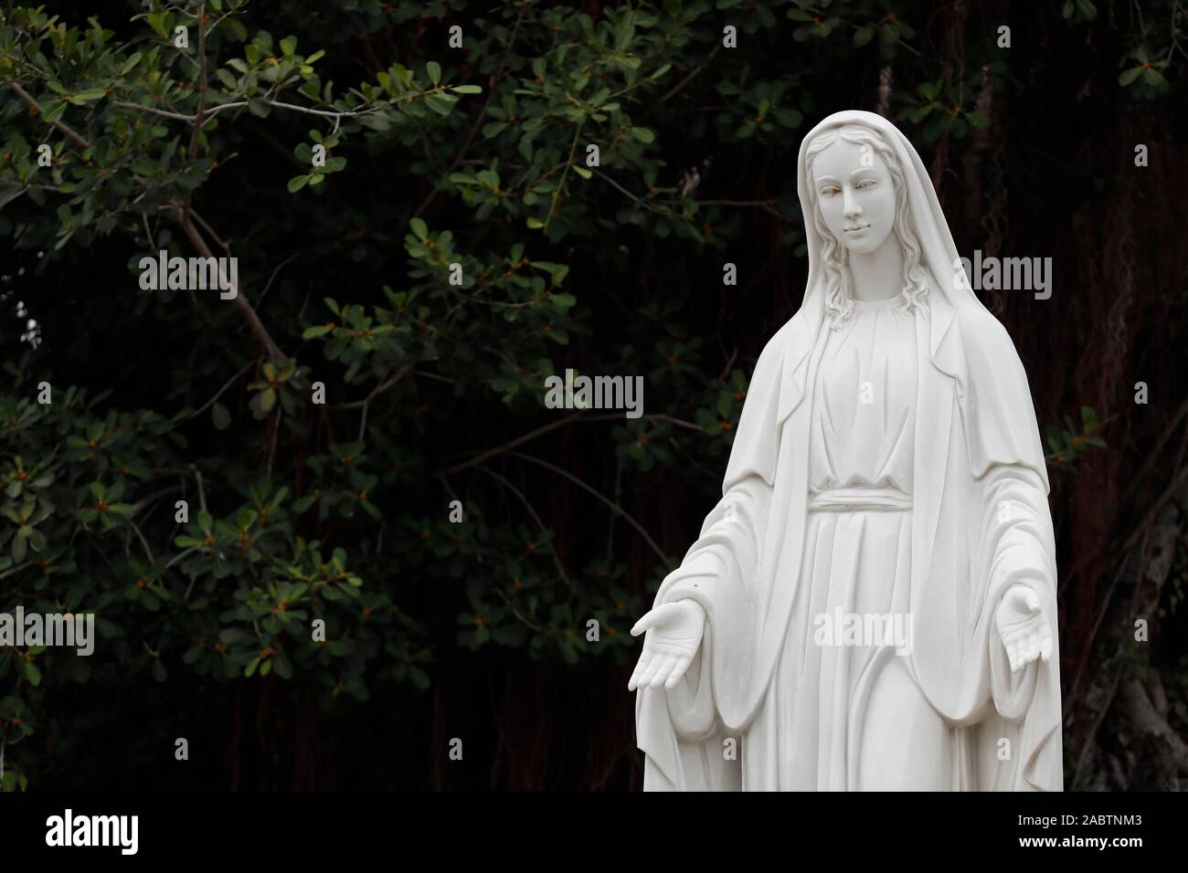 Virgin Mary statue. Vietnam Stock Photo Alamy