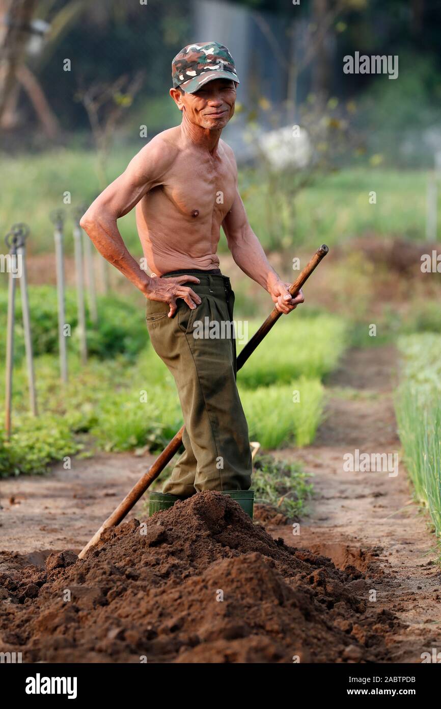 Organic vegetable gardens in Tra Que Village. Farmer digging  soil with  hoe.  Hoi An. Vietnam. Stock Photo