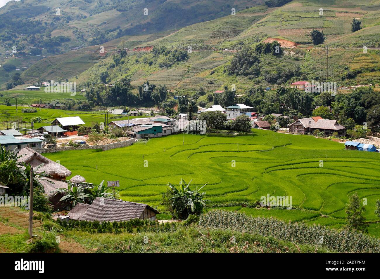 Rice fields on terraced. Sapa. Vietnam. Stock Photo