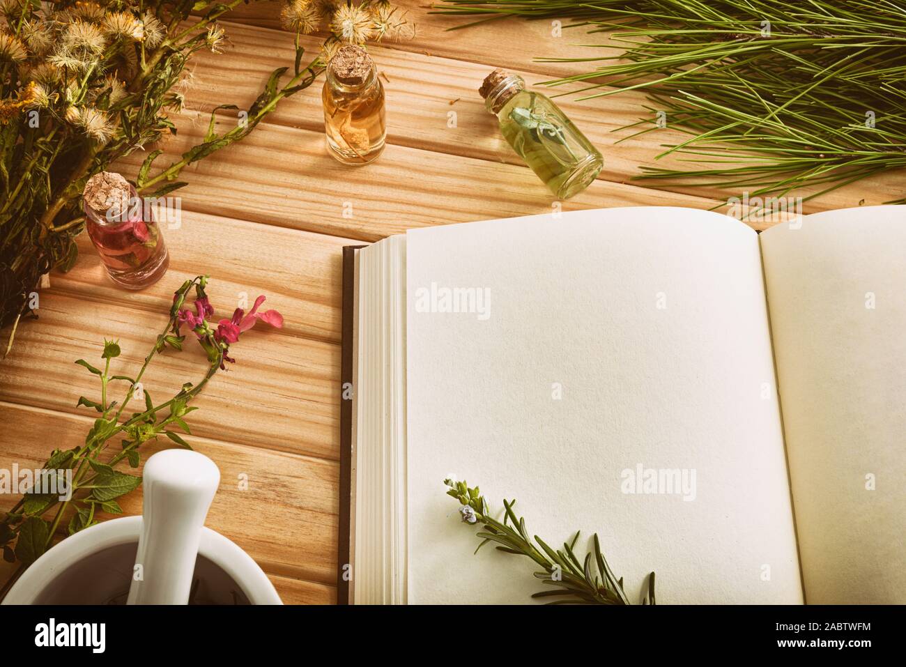Blank book of recipes for the preparation of natural plant medicine on wooden table with medicinal and aromatic plants close up. Top elevated view. Ho Stock Photo