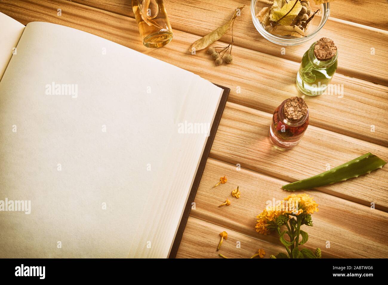 Blank book of recipes for the preparation of natural plant medicine on wooden table with medicinal and aromatic plants close up. Top view. Horizontal Stock Photo