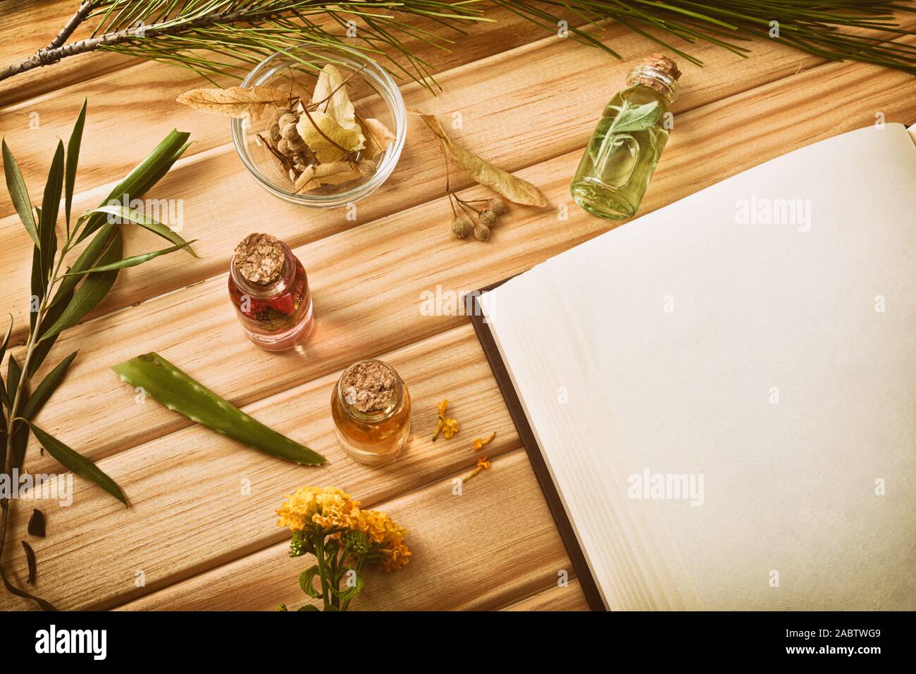 Blank book of recipes for the preparation of natural plant medicine on wooden table with medicinal and aromatic plants close up. Top view. Horizontal Stock Photo