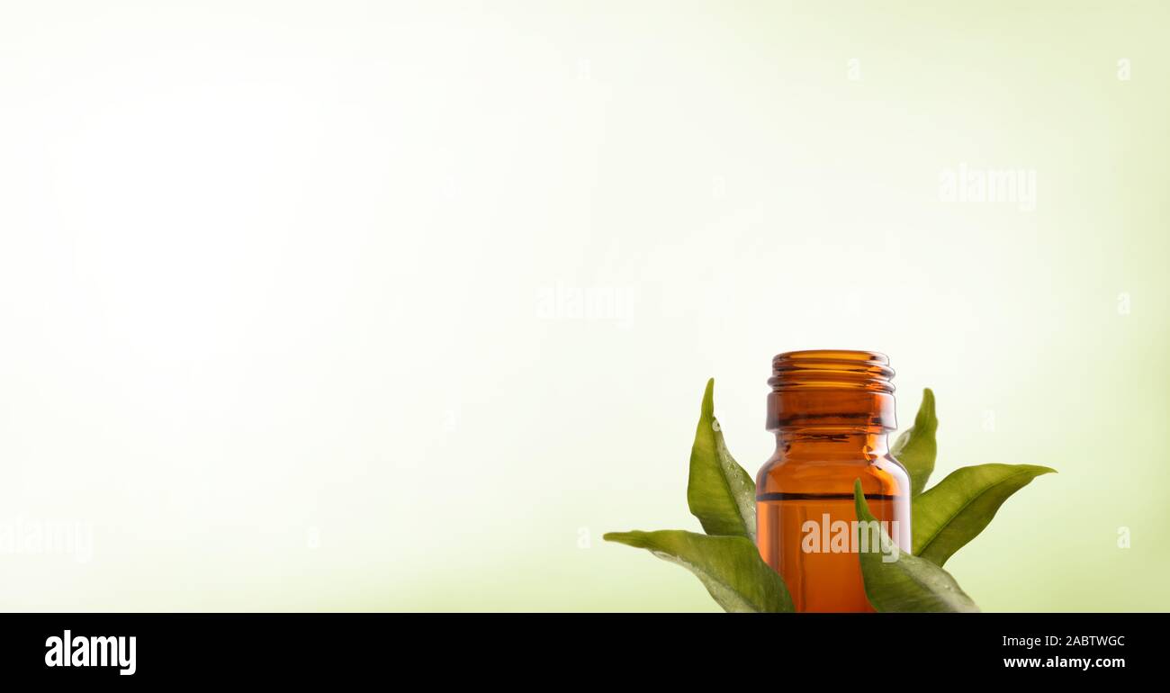 Natural medicine background with brown glass jar with healing essence of plants and fresh leaves around with green gradient isolated background. Horiz Stock Photo