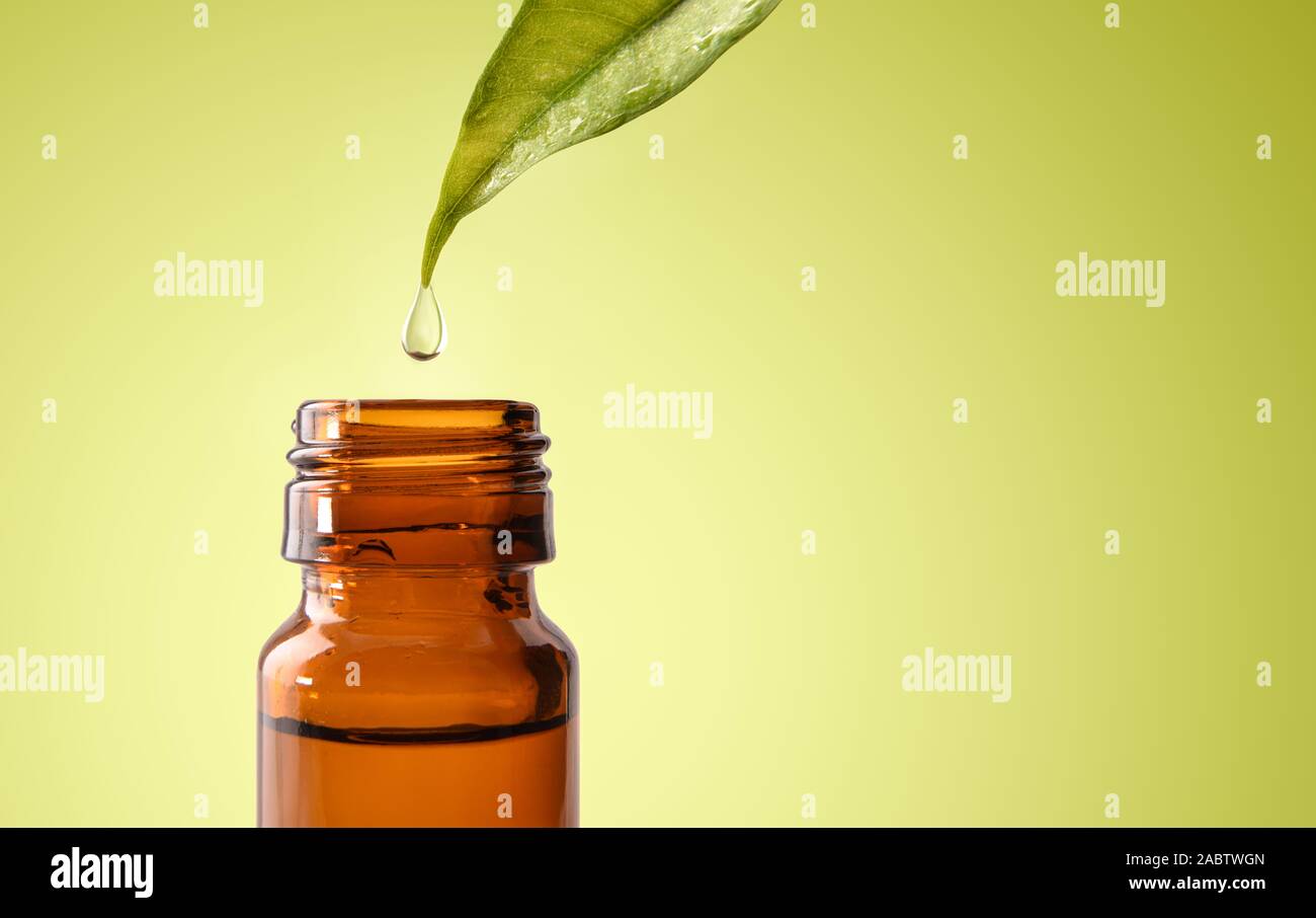 Natural medicine concept with leaf and drop falling into glass jar with medicinal liquid and green gradient background. Horizontal composition. Front Stock Photo