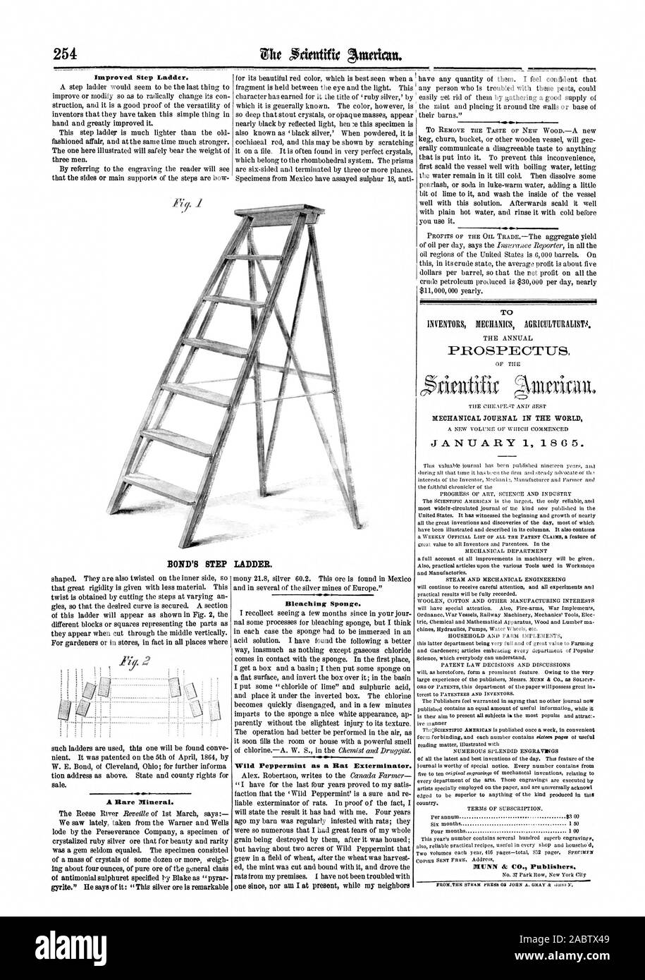 Improved Step Ladder. Bleaching Sponge. Wild Peppermint as a Rat Exterminator. T MECHANICAL JOURNAL IN THE WORLD BOND'S STEP LADDER., scientific american, 1865-04-15 Stock Photo