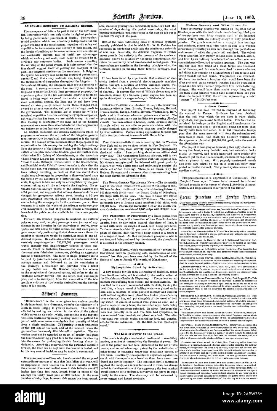 Hydrophobia Cured by Salivation. The Loss of Power by the Crank. Modern Gunnery and What it can do. A Great Tunnel. EXPANDING HEARER FOR PETROLEUM AND OTHER ARTESIAN WEL3A, scientific american, 1868-07-15 Stock Photo