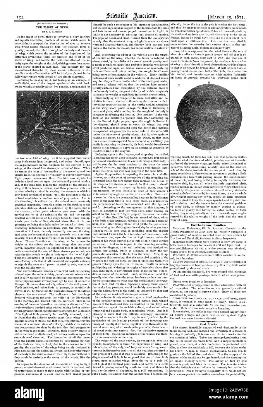 THE FLIGHT OF BIRDS. 'Unwholesome Candles. Coal Slack. I, scientific american, 1871-03-25 Stock Photo