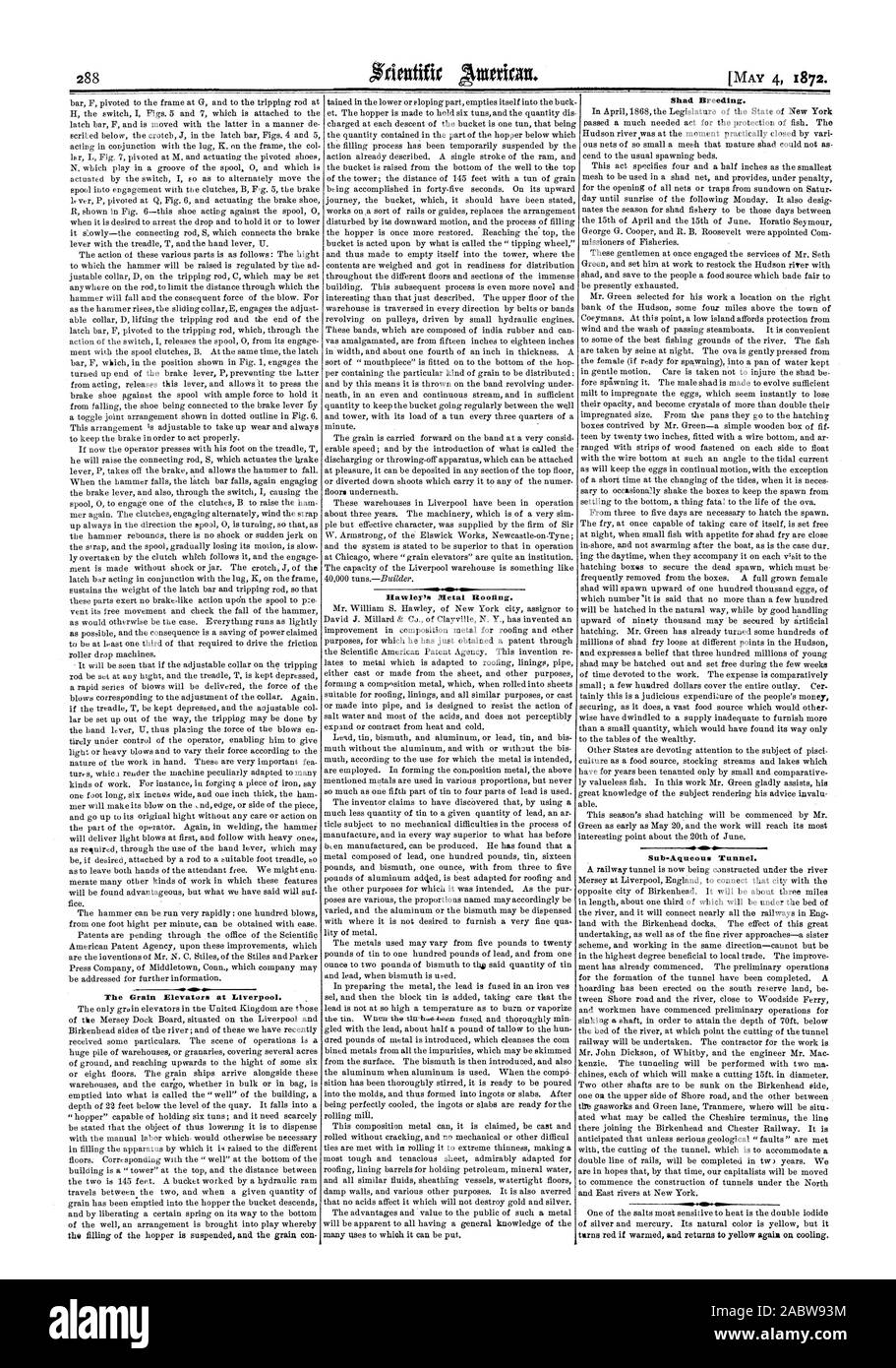 288 Alb The Grain Elevators at Liverpool. Hawley' Metal Roofing. Shad Breeding., scientific american, 1872-05-04 Stock Photo